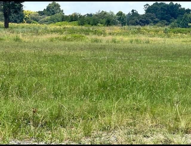 LAND FOR SALE IN GREENDALE